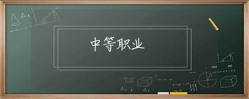 中等职业