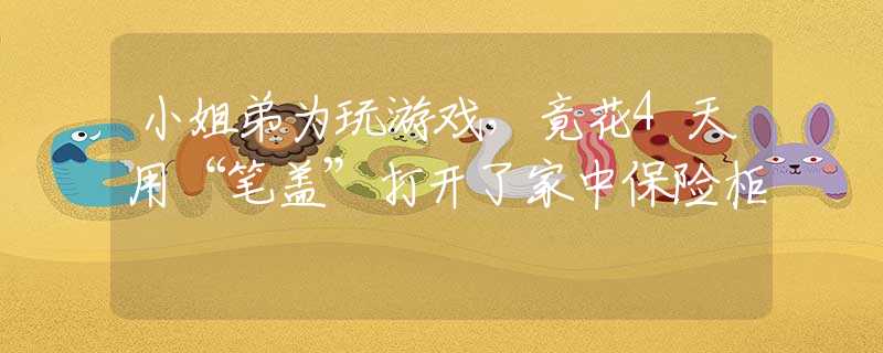小姐弟为玩游戏，竟花4天用“笔盖”打开了家中保险柜