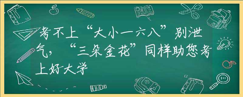 考不上“大小一六八”别泄气，“三朵金花”同样助您考上好大学