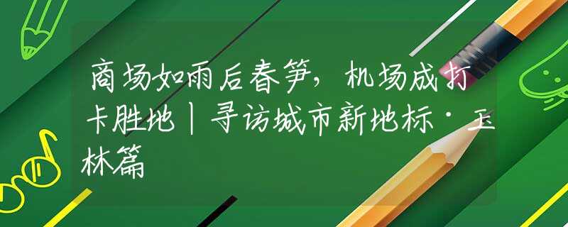 商场如雨后春笋，机场成打卡胜地丨寻访城市新地标·玉林篇