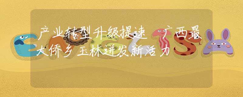 产业转型升级提速 广西最大侨乡玉林迸发新活力