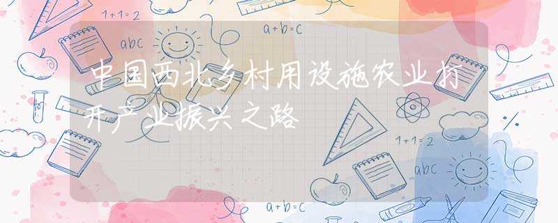 中国西北乡村用设施农业打开产业振兴之路