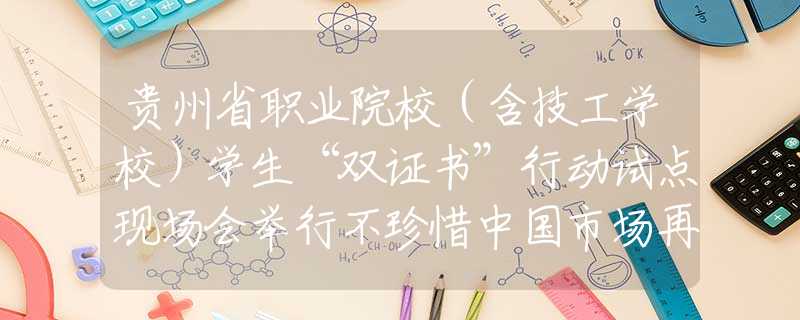 贵州省职业院校（含技工学校）学生“双证书”行动试点现场会举行不珍惜中国市场再次涨价，中方直接断绝合作：我国不是软柿子！