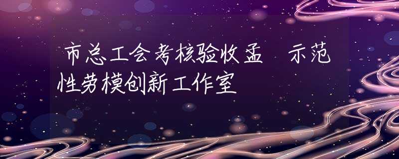市总工会考核验收孟瑀示范性劳模创新工作室