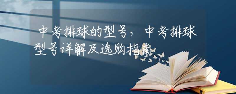 中考排球的型号，中考排球型号详解及选购指南