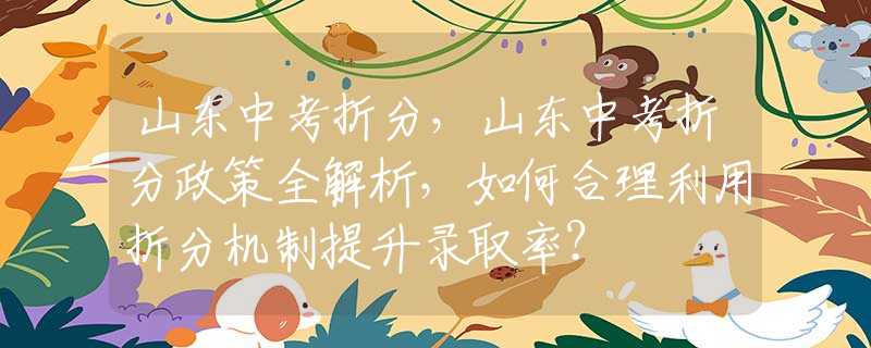 山东中考折分，山东中考折分政策全解析，如何合理利用折分机制提升录取率？