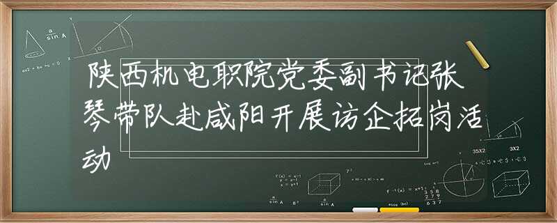 陕西机电职院党委副书记张琴带队赴咸阳开展访企拓岗活动