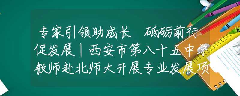 专家引领助成长 砥砺前行促发展丨西安市第八十五中学教师赴北师大开展专业发展项目学习