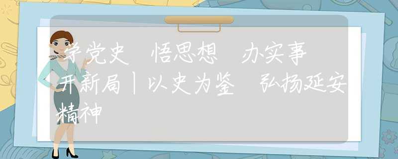 学党史 悟思想 办实事 开新局丨以史为鉴 弘扬延安精神