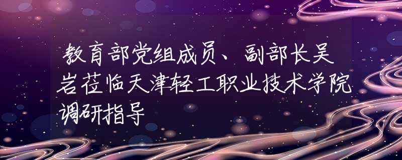 教育部党组成员、副部长吴岩莅临天津轻工职业技术学院调研指导