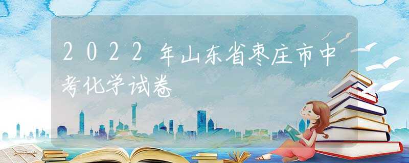 2022年山东省枣庄市中考化学试卷