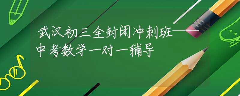 武汉初三全封闭冲刺班——中考数学一对一辅导