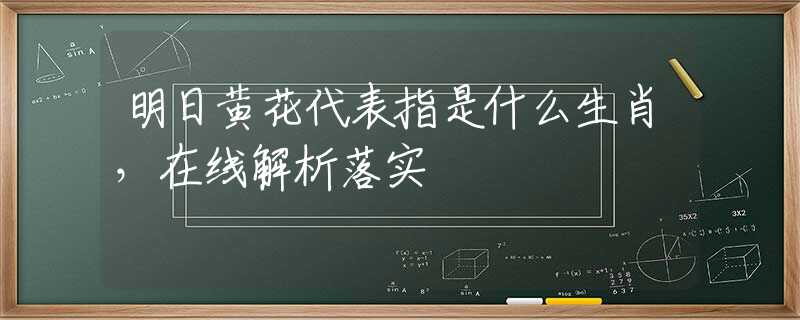 明日黄花代表指是什么生肖，在线解析落实