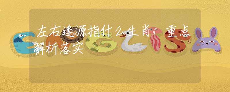 左右逢源指什么生肖，重点解析落实