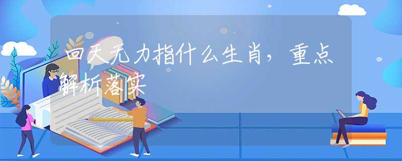 回天无力指什么生肖，重点解析落实