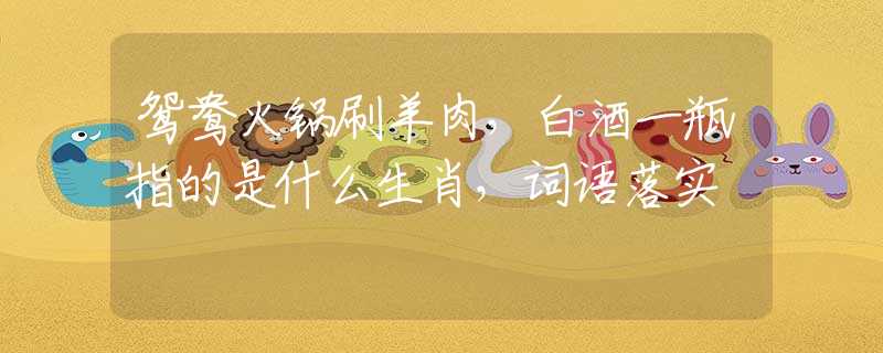 鸳鸯火锅刷羊肉，白酒一瓶指的是什么生肖，词语落实