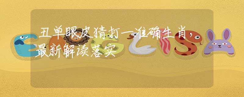 丑单眼皮猜打一准确生肖，最新解读落实