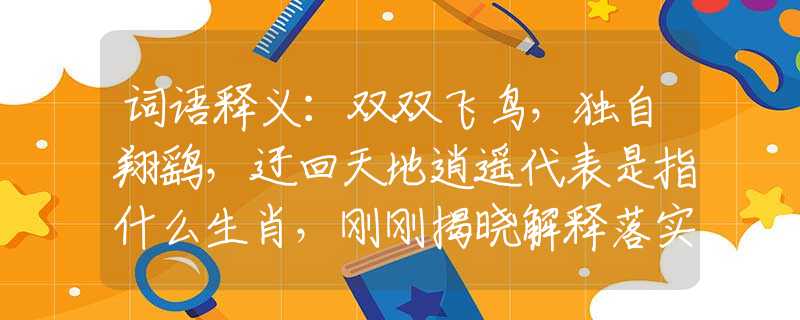 词语释义：双双飞鸟，独自翔鹞，迂回天地逍遥代表是指什么生肖，刚刚揭晓解释落实