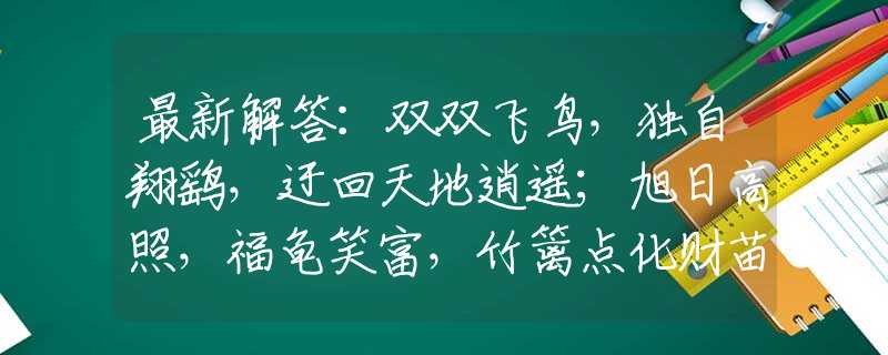 最新解答：双双飞鸟，独自翔鹞，迂回天地逍遥；旭日高照，福龟笑富，竹篱点化财苗。指是代表什么生肖，释义经典剖析解释