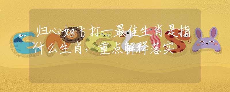归心如飞打一最佳生肖是指什么生肖，重点解释落实