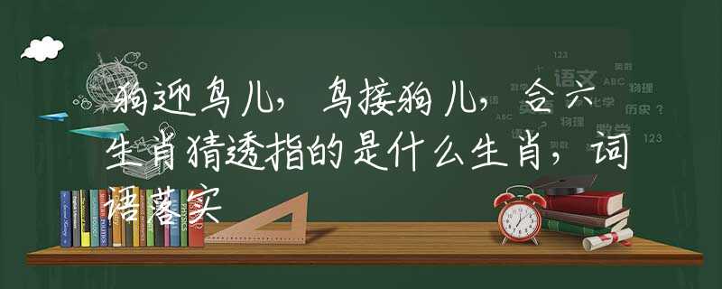 狗迎鸟儿，鸟接狗儿，合六生肖猜透指的是什么生肖，词语落实