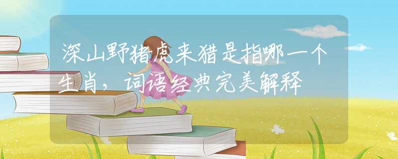 深山野猪虎来猎是指哪一个生肖，词语经典完美解释