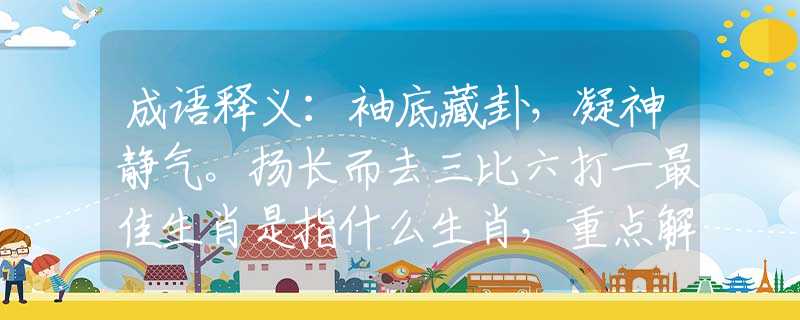 成语释义：袖底藏卦，凝神静气。扬长而去三比六打一最佳生肖是指什么生肖，重点解释落实