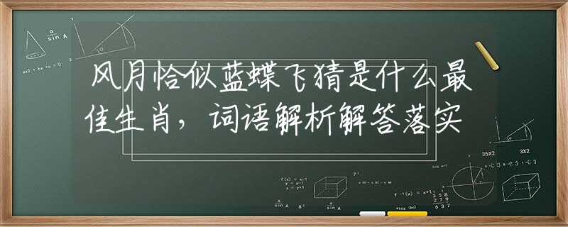 风月恰似蓝蝶飞猜是什么最佳生肖，词语解析解答落实