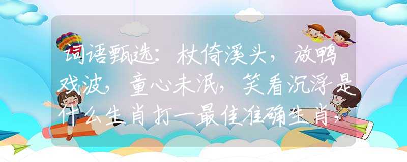 词语甄选：杖倚溪头，放鸭戏波，童心未泯，笑看沉浮是什么生肖打一最佳准确生肖，精选解释解答释义落实