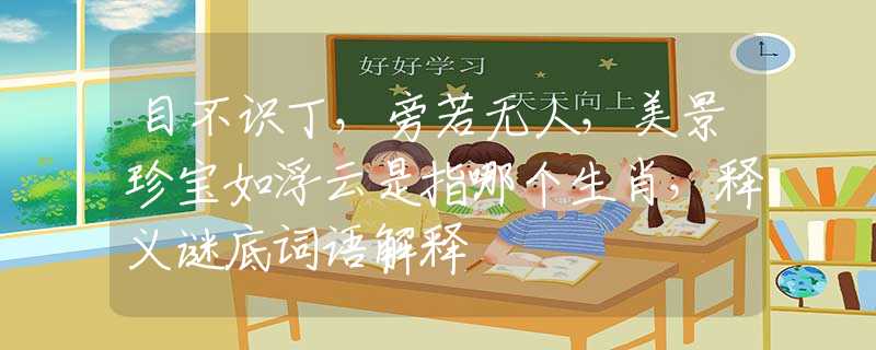 目不识丁，旁若无人，美景珍宝如浮云是指哪个生肖，释义谜底词语解释