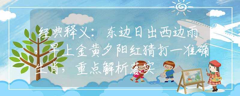 经典释义：东边日出西边雨，早上金黄夕阳红猜打一准确生肖，重点解析落实