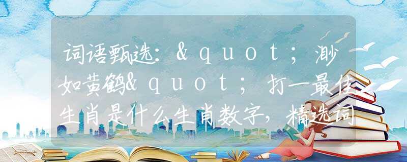 词语甄选："渺如黄鹤"打一最佳生肖是什么生肖数字，精选词语解释释义落实