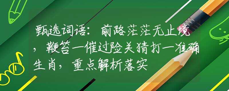 甄选词语：前路茫茫无止境，鞭笞一催过险关猜打一准确生肖，重点解析落实