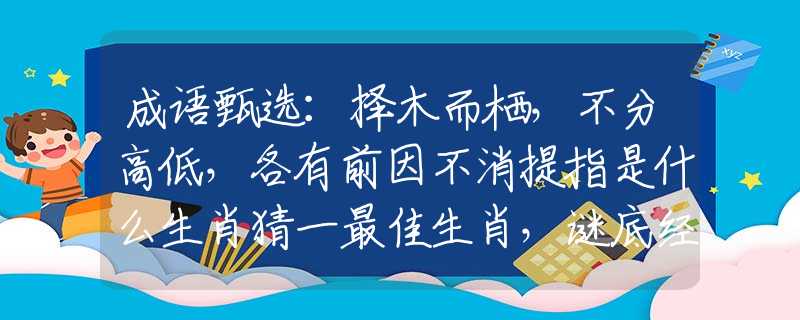 成语甄选：择木而栖，不分高低，各有前因不消提指是什么生肖猜一最佳生肖，谜底经典分析解释