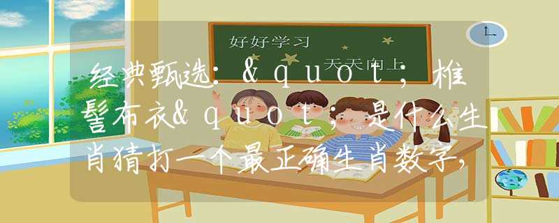 经典甄选："椎髻布衣"是什么生肖猜打一个最正确生肖数字，最新释义词语阐述释义落实