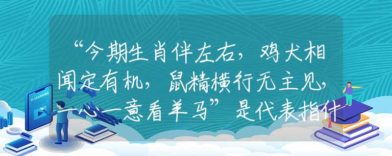 “今期生肖伴左右，鸡犬相闻定有机，鼠精横行无主见，一心一意看羊马”是代表指什么生肖，打一最佳正确生肖词语含义完美阐述释义解释落实