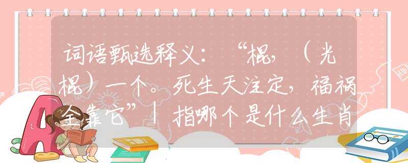词语甄选释义：“棍，（光棍）一个。死生天注定，福祸全靠它”|指哪个是什么生肖|打一最佳准确生肖词语|释义作答词语赏析解释