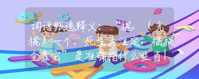 词语甄选释义：“棍，（光棍）一个。死生天注定，福祸全靠它”是准确指什么生肖|打一最佳正确词语|猜解一释义词语作答解释
