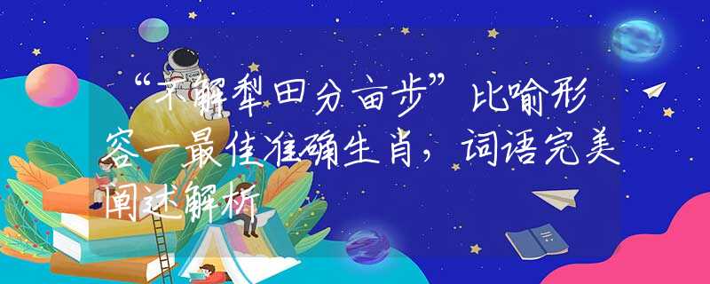 “不解犁田分亩步”比喻形容一最佳准确生肖，词语完美阐述解析