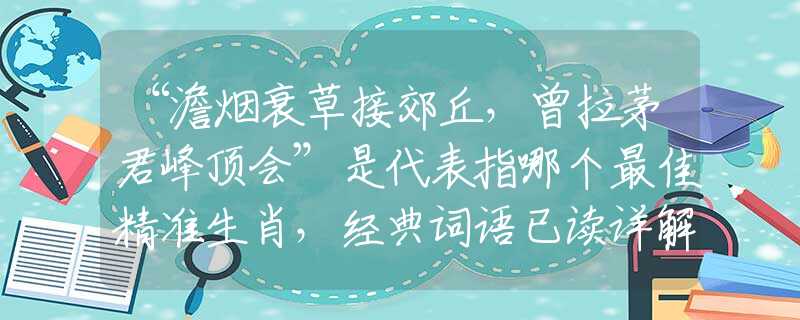 “澹烟衰草接郊丘，曾拉茅君峰顶会”是代表指哪个最佳精准生肖，经典词语已读详解