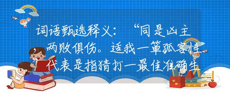 词语甄选释义：“同是凶主，两败俱伤。适我一箪孤客性”代表是指猜打一最佳准确生肖优选解释答案完美解析落实