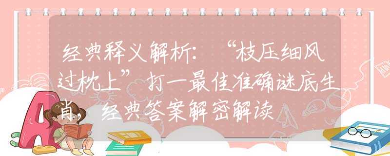 经典释义解析：“枝压细风过枕上”打一最佳准确谜底生肖,经典答案解密解读