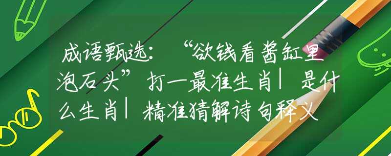 成语甄选：“欲钱看酱缸里泡石头”打一最准生肖|是什么生肖|精准猜解诗句释义