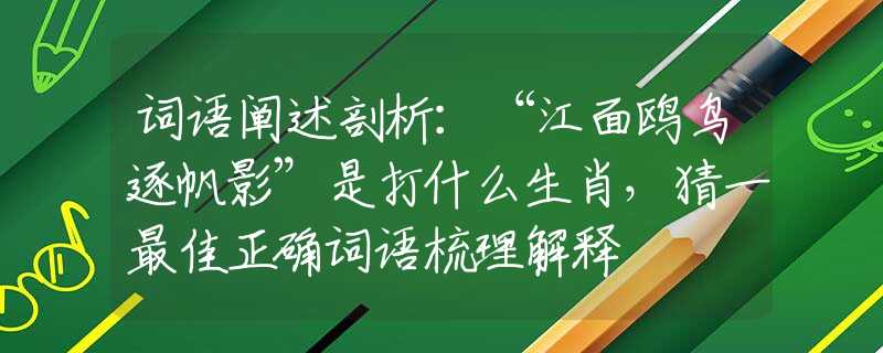 词语阐述剖析：“江面鸥鸟逐帆影”是打什么生肖，猜一最佳正确词语梳理解释