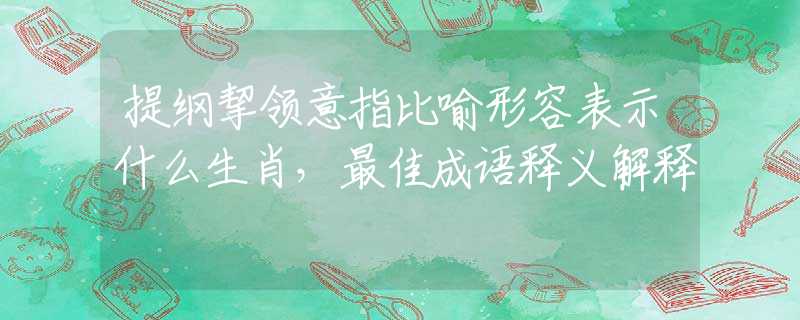 提纲挈领意指比喻形容表示什么生肖，最佳成语释义解释