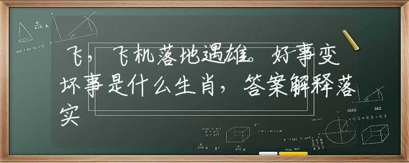 飞，飞机落地遇雄。好事变坏事是什么生肖，答案解释落实