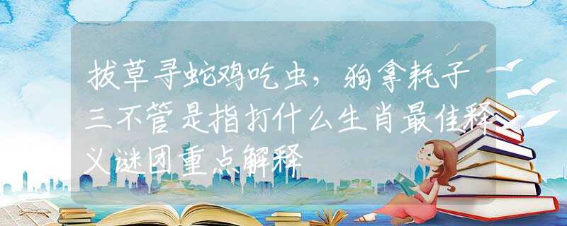 拔草寻蛇鸡吃虫，狗拿耗子三不管是指打什么生肖最佳释义谜团重点解释