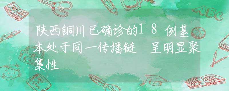 陕西铜川已确诊的18例基本处于同一传播链 呈明显聚集性