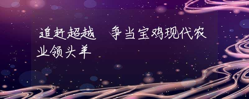 追赶超越 争当宝鸡现代农业领头羊