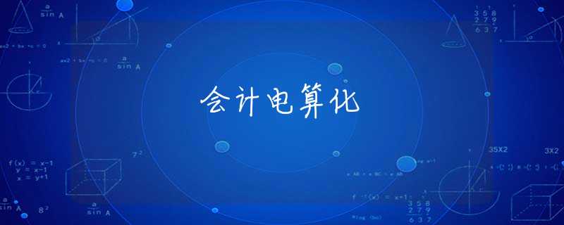 会计电算化 会计电算化